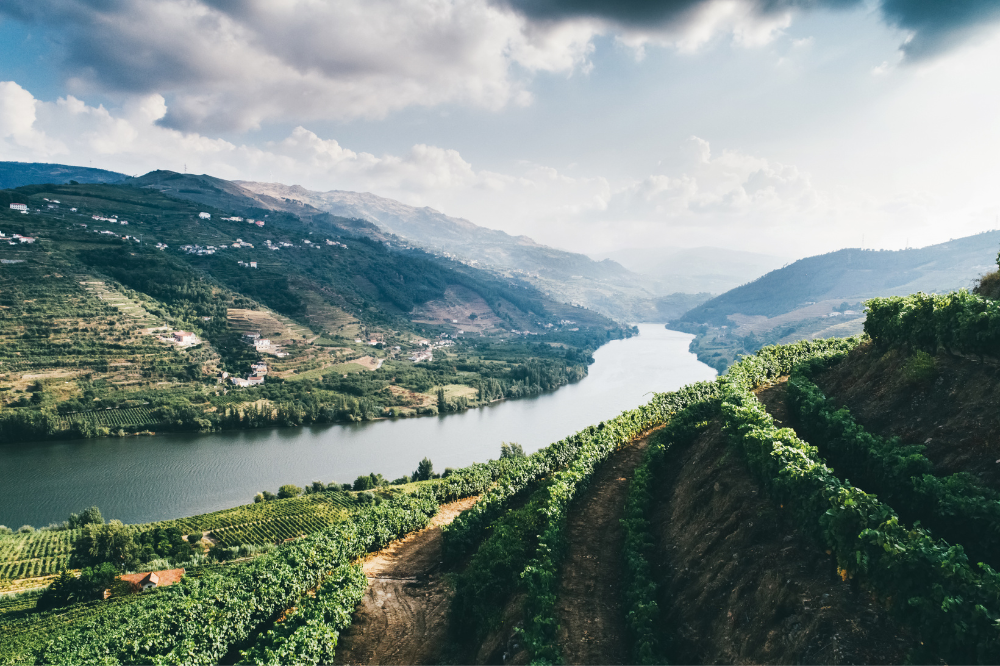 Is Douro Valley worth visiting?